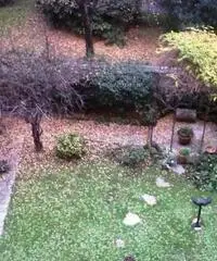 Milano: Appartamento Bilocale