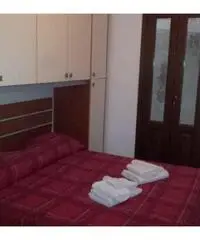 Appartamento di 2 locali in Affitto - Trapani