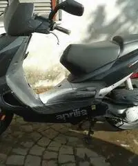 Aprilia SR 50 - Lazio