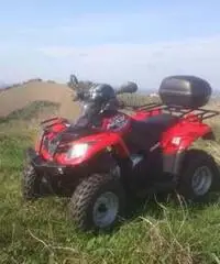 QUAD MXU 300 - Emilia Romagna