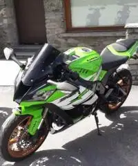 Ninja zx10r 2013