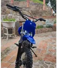 Altro Altro modello - 2016