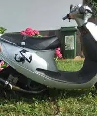 F10, scooter, malaguti, moto, ciclomotore, grigio, arrow - Trentino - Alto Adige