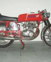 MV AGUSTA 350cc ELETTRONICA TARGA ORO - Basilicata