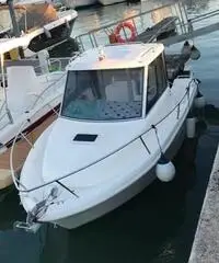 Cabin Fisch Bellingardo 5,50