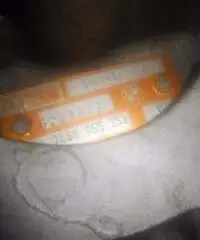 Pompa idroguida BMW E34/525I rif:7681955252 - Trentino - Alto Adige