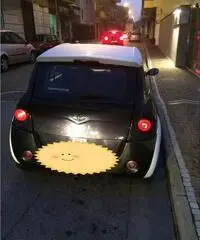 Chatenet ch 26 - Casoria