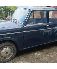 FIAT Altro modello - 1964