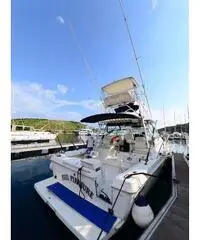 BOSTON WHALER 34 DEFIANCE