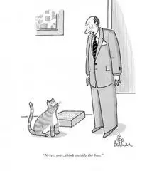 Insegnante madrelingua inglese · basic, business