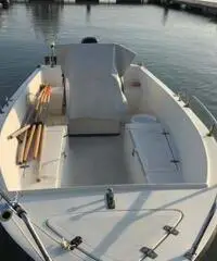 Barca murena 5m mercury 25 cv 4t