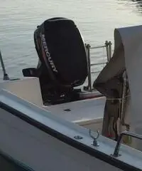 Barca murena 5m mercury 25 cv 4t