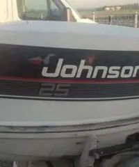 Gobbi con motore johnson