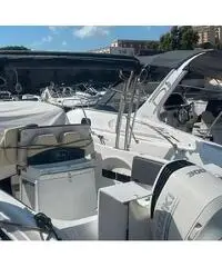 Saver 750 wa con motore suzuki df 300