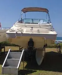 IMBARCAZIONE DORAL 230 CC