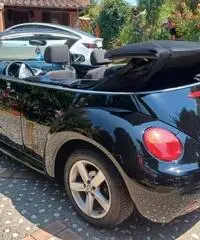 Volkswagen New Beetle 1.9 TDI 105CV Cabrio