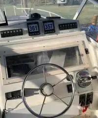 Mako marine 293