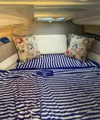 Saver 590 cabin fish