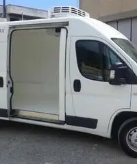 FIAT DUCATO ISOTERMICO FRIGO COIBENTATO