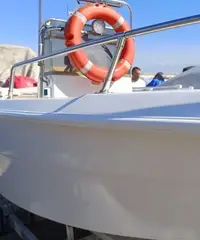 Barca motore e carrello