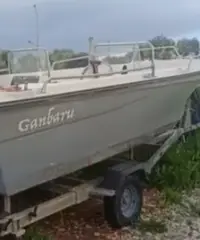 Barca motore carrello