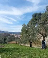 Salve sono martino di Ascoli piceno marche