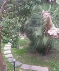 Mare Estate 2024 Toscana