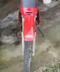 Beta Minicross - 2019