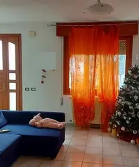 Appartamento al piano terra di abitazione bifamili