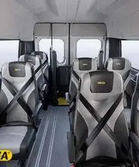 FIAT Ducato Trasporto Disabili 2016