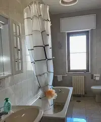 Locazione camera in appartamento