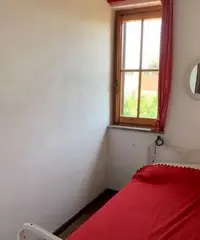 Lido dei Pini - Ardea (RM) - giugno