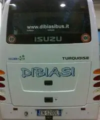 ISUZU TOURQUISE