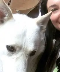 Single e alla ricerca di una relazione seria