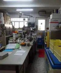 Attivita' bar pasticceria