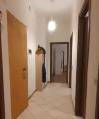 Stanza singola libera subito a 600 euro su MM3