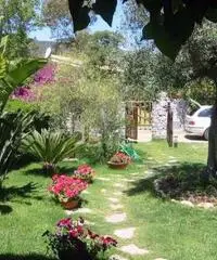 Villa al Mare in Sardegna