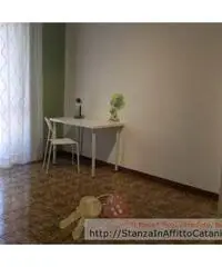 Camera Singola in Affitto a Catania per Studentessa