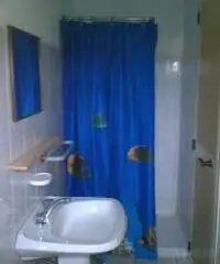 Affittasi camere con bagno