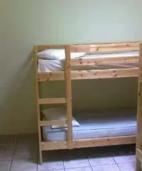 Affittasi camere con bagno