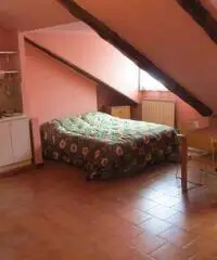 Torino Affitto Attico