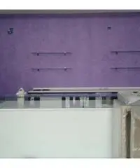 Locale commerciale bar/chiosco - Mesola (FE)