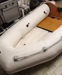 Tender Eurovinil 265 con motore Mercury 4HP