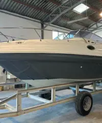 Ranieri Sea Lady 24