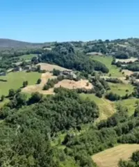 Rustico ampio con 2 appartamenti e giardino