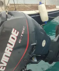 Gommone sacs + carrello stradale