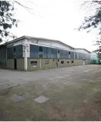 Capannone in Affitto a 3.350