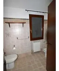 Appartamento a Altopascio 74mq