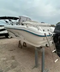 Ranieri Marvel 19 con Yamaha f40 getl