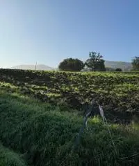 Terreno edificabile per villa mono/ bifamiliare a Tordenaso
